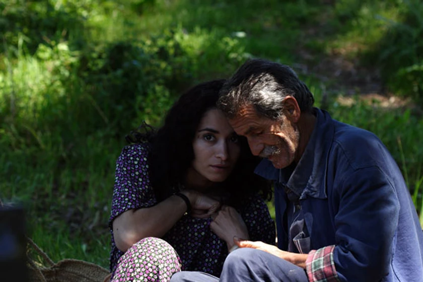 Imagen de barakat