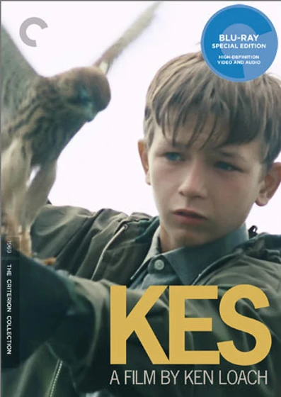 Imagen de kes (Carátula Blu-Ray)