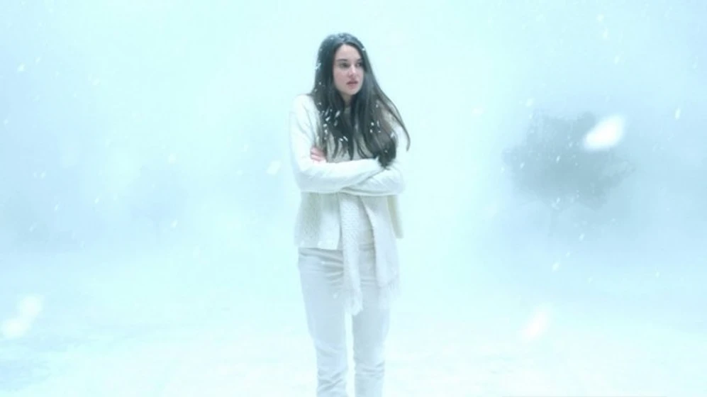 Shailene Woodley en pajaro-blanco-de-la-tormenta-de-nieve