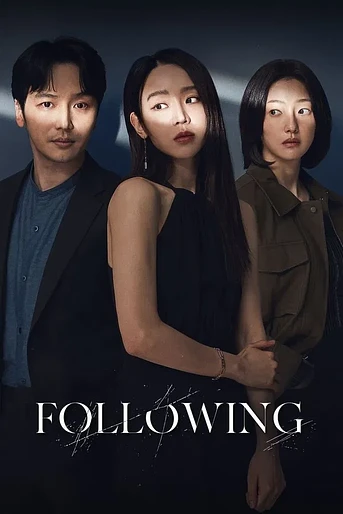 Poster de Following
