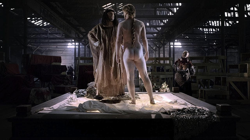 Imagen de Goltzius and the Pelican Company
