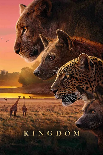Poster de Kingdom