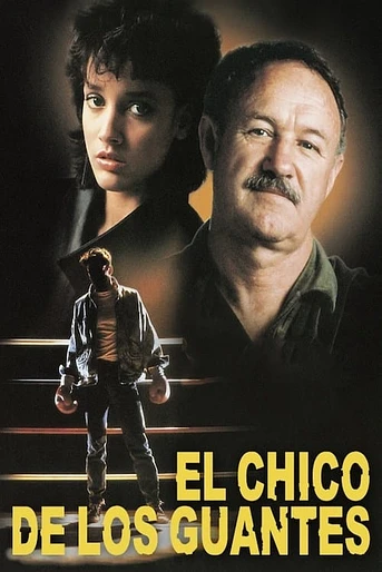 Poster de El Chico de los Guantes