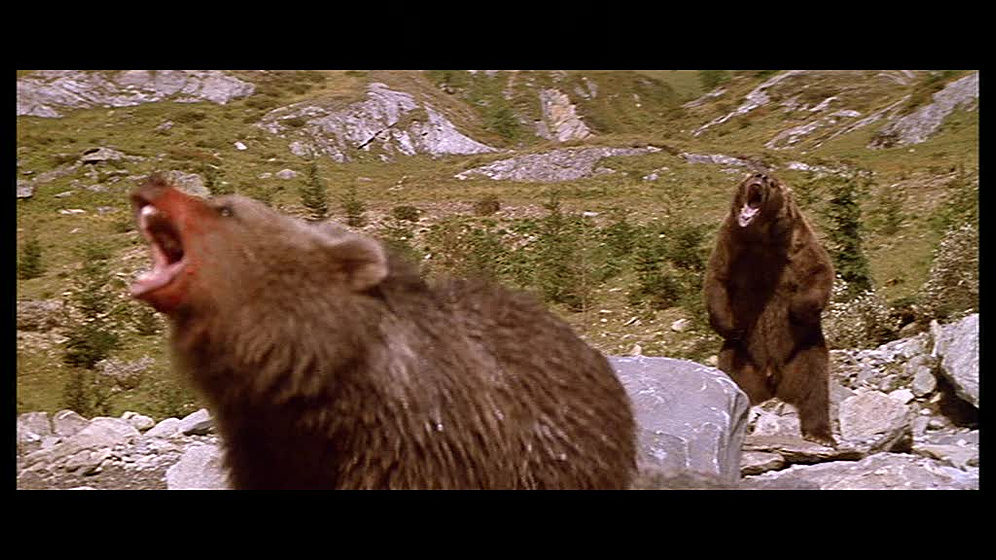 Imagen de El Oso