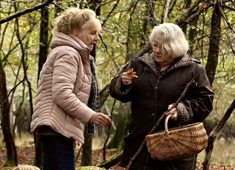 Josiane Balasko y Hélène Vincent en cuando-cae-el-otono