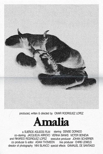 Poster de Amalia