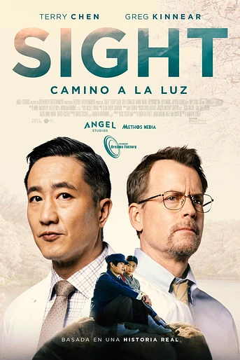 Poster de Sight. Camino a la Luz