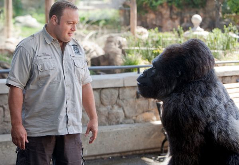 Kevin James en Zooloco