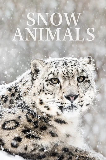 Poster de Invierno Animal