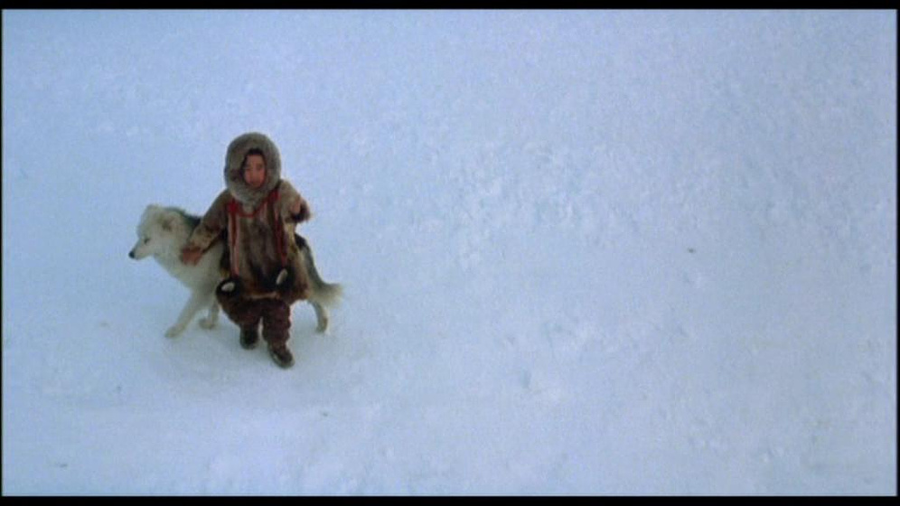Imagen de El sueño de Arizona