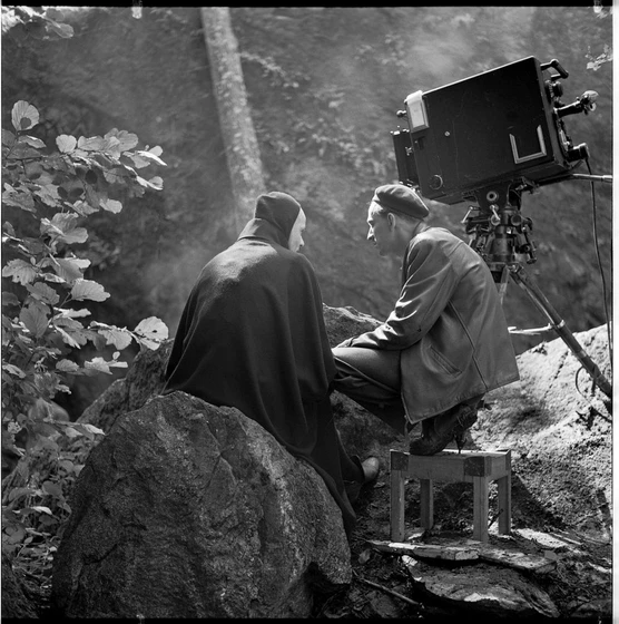 Ingmar Bergman en bergman-su-gran-ano