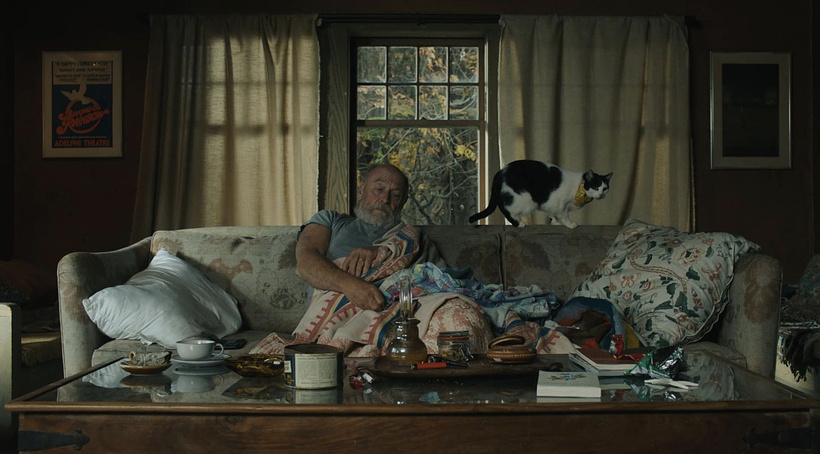 Imagen de Woodstockers