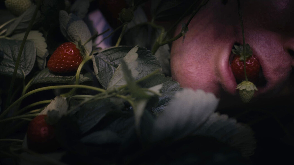Imagen de The Shipwrecked Triptych