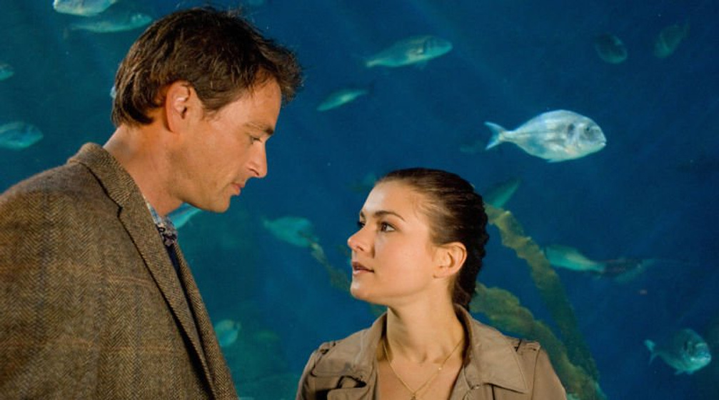 Imagen de El Destino de los Hastings