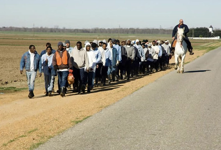 Imagen de The Farm: Angola, USA