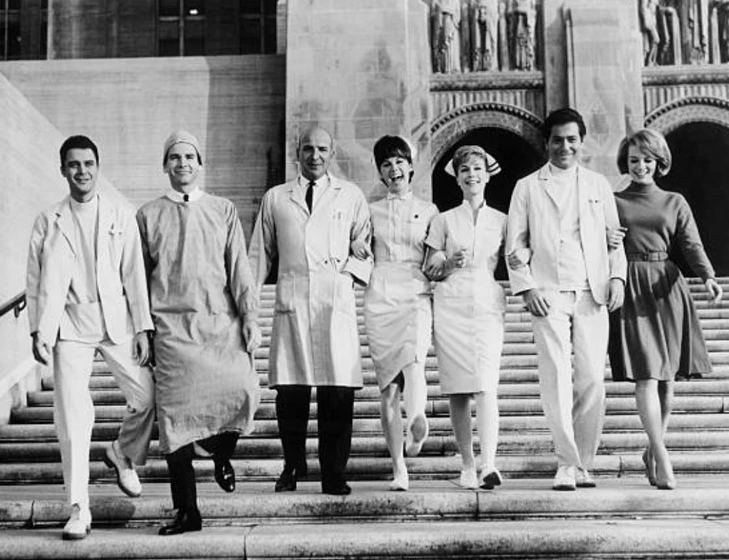 Telly Savalas, George Segal, Dean Jones, Stefanie Powers, Barbara Eden, Inger Stevens y Michael Callan en los-nuevos-internos