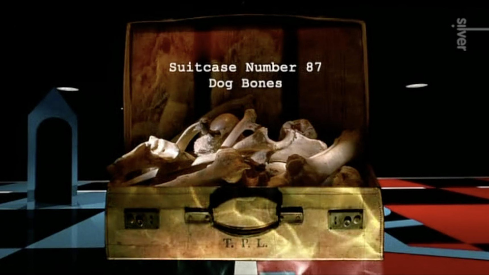 Imagen de A Life in Suitcases