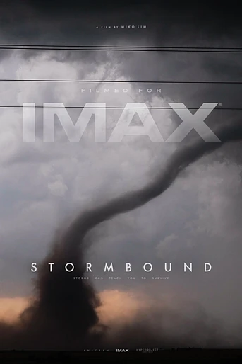 Poster de Stormbound