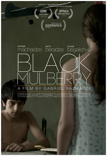 Poster de Black Mulberry