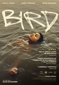 poster of movie Bird