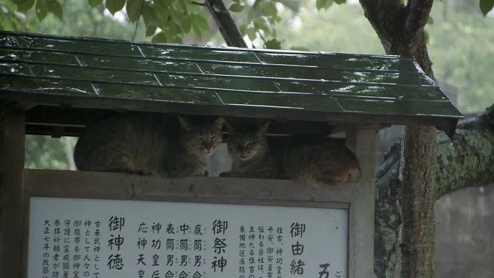 Imagen de The Cats of Gokogu Shrine