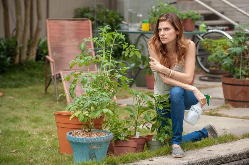 Lake Bell en el-chico-del-millon-de-dolares
