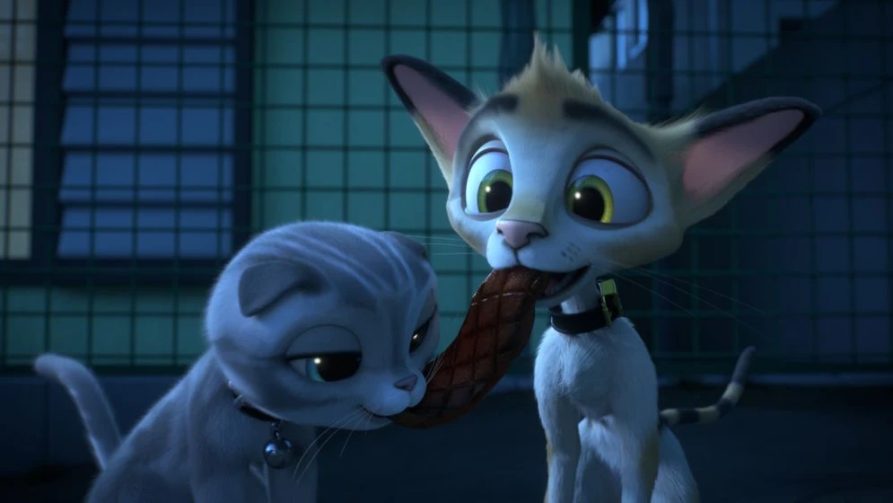 Imagen de gatos-un-viaje-de-vuelta-a-casa