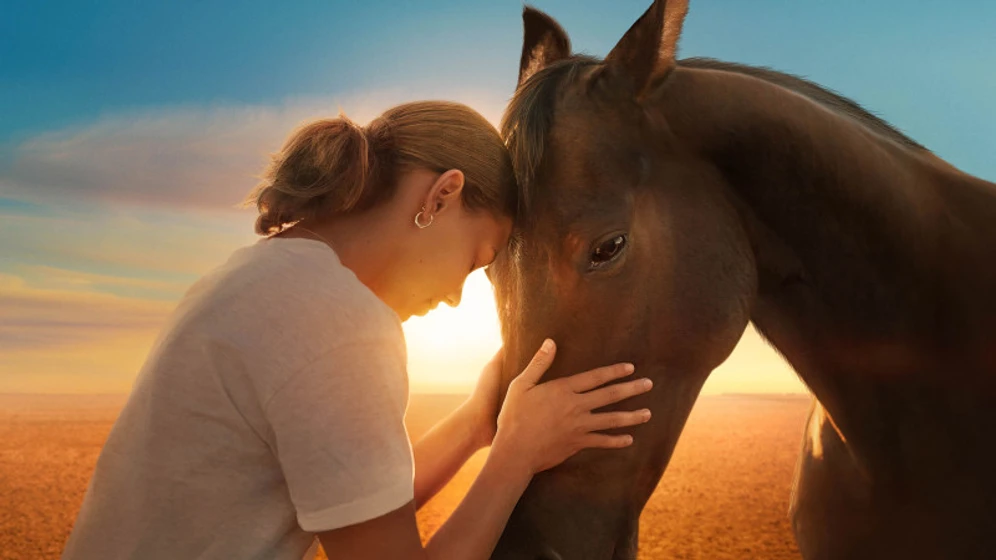 Imagen de guided-by-horses
