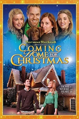 poster of movie Vuelta a Casa por Navidad