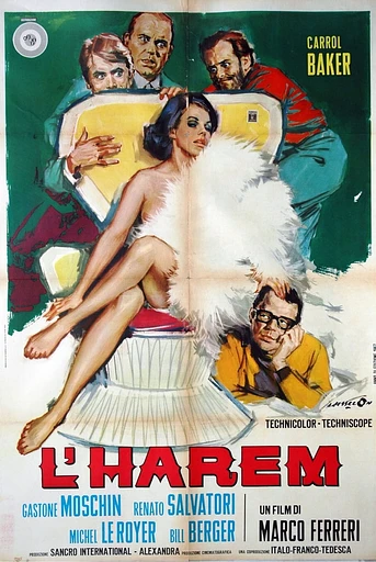 Poster de El Harén