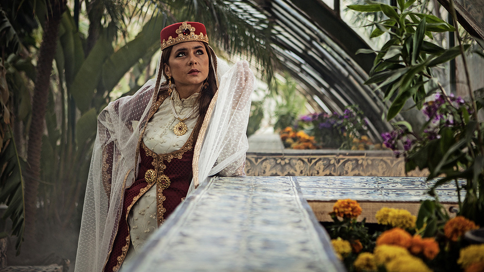 Imagen de the-blue-elephant