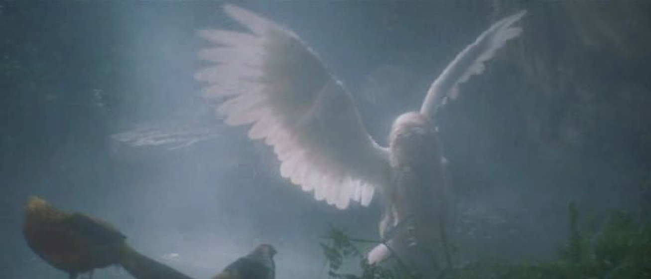 Imagen de Cita con un ángel muy especial