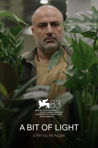 Poster de A Bit of Light