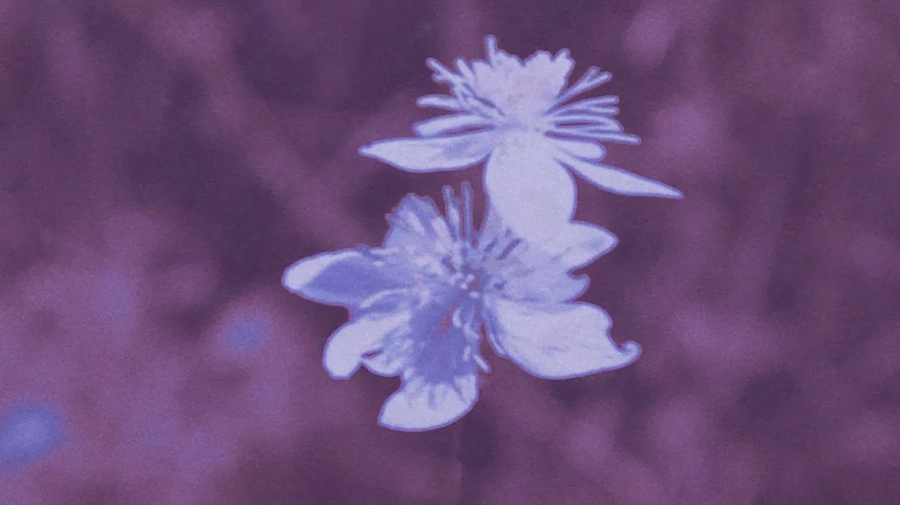 Imagen de Zinzindurrunkarratz