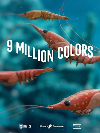 Poster de 9 Million Colors