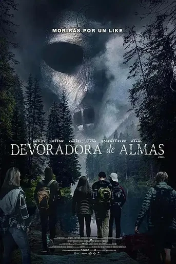 Poster de Feed