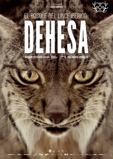 Imagen de dehesa-el-bosque-del-lince-iberico (Cartel español)