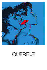 poster of movie Querelle