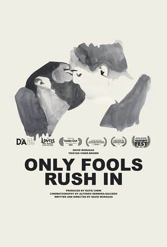 Poster de Only Fools Rush In
