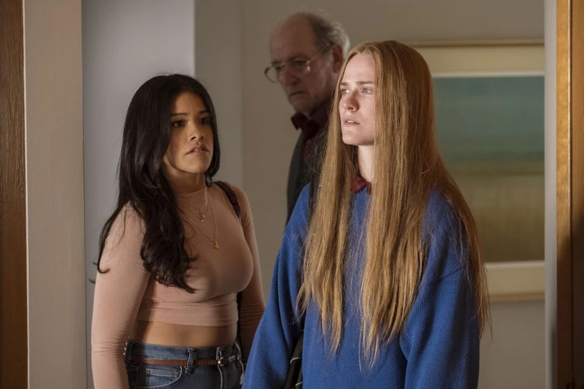 Richard Jenkins, Evan Rachel Wood y Gina Rodriguez en como-sobrevivir-en-un-mundo-material