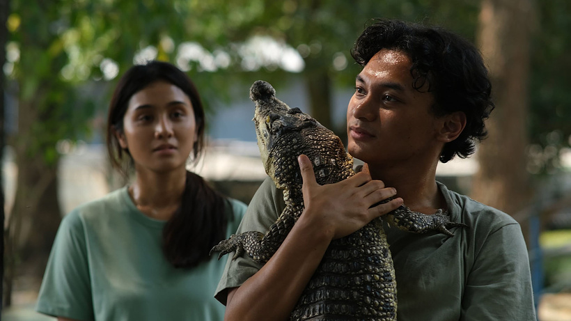 Imagen de Crocodile Tears