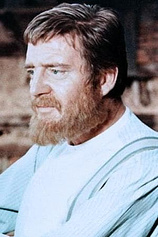 picture of actor Siegfried Kilian