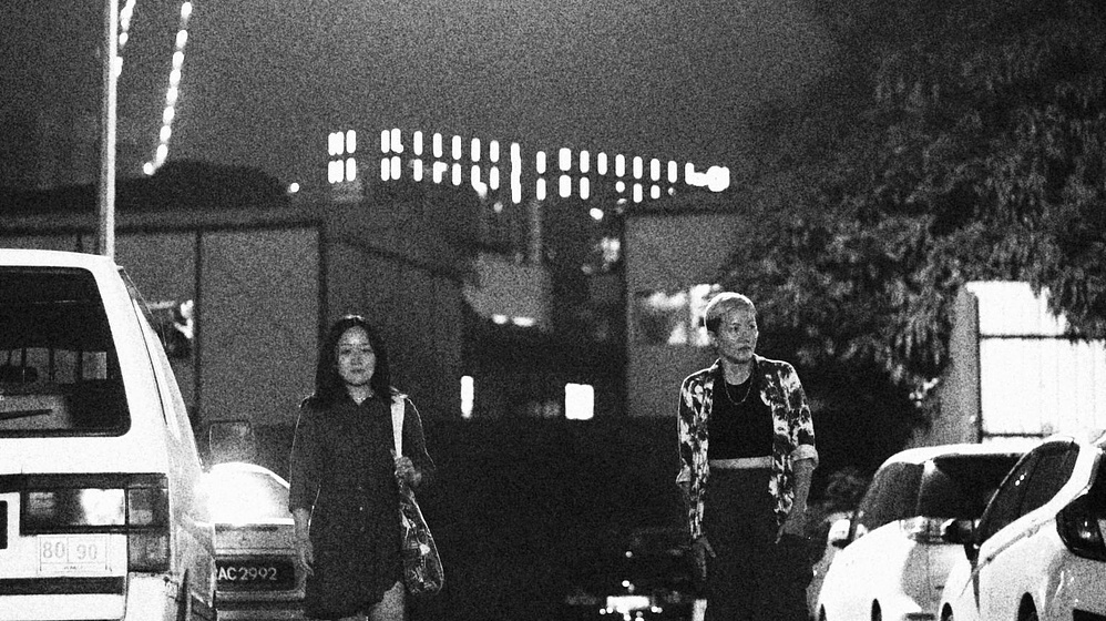 Imagen de we-are-the-jungle