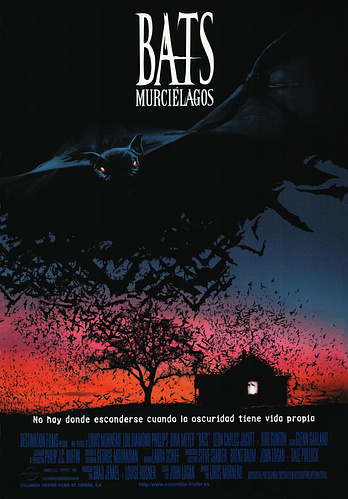 poster of content Bats: Murciélagos