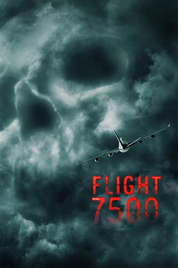 poster of movie 7500