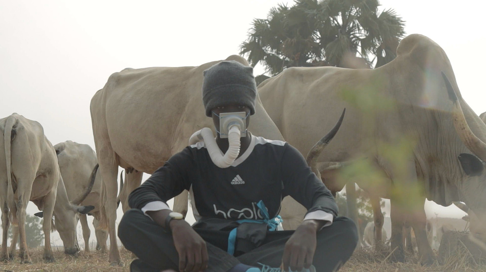 Imagen de crocodile-2026