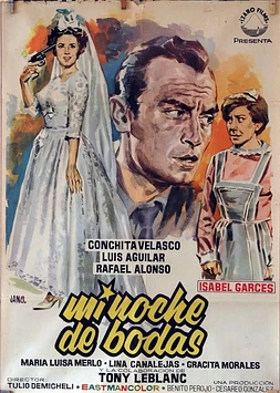 Mi Noche de Bodas