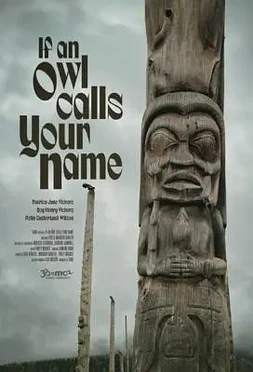 If an Owl calls your Name