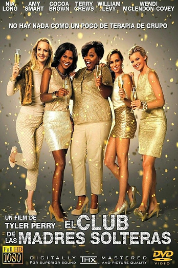 poster of content The Single Moms Club