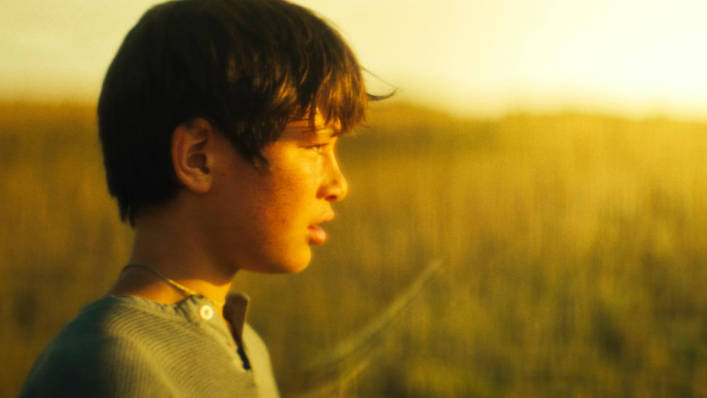 Imagen de Edge of Summer